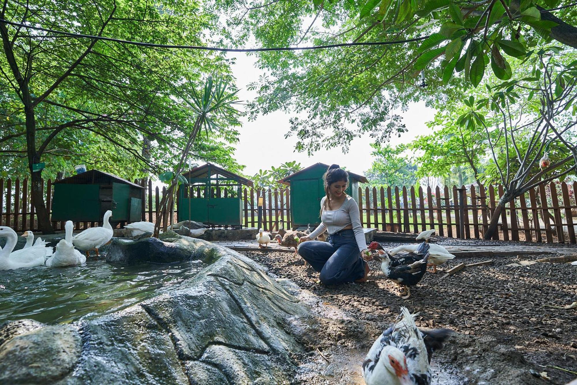 Grape County Eco Resort & Spa, Nászik Kültér fotó